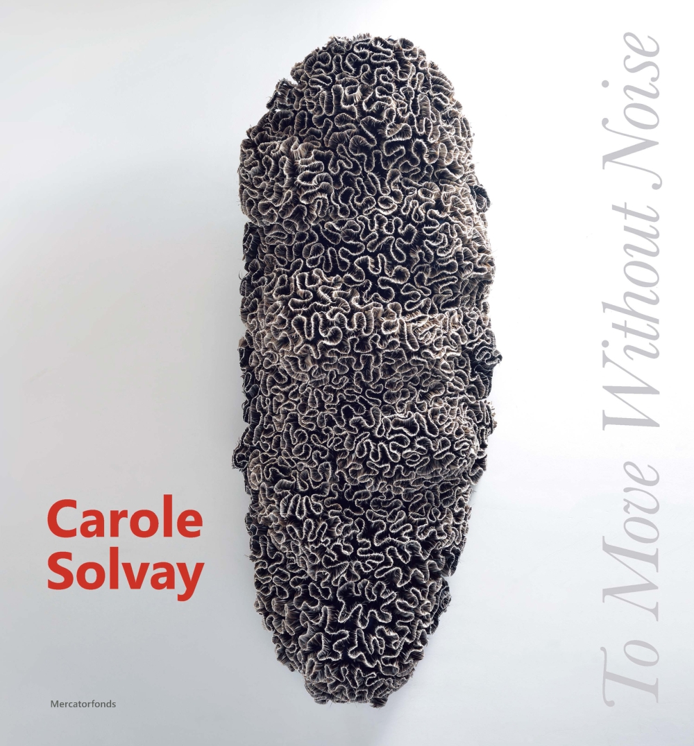 Carole Solvay. (é)mouvoir sans bruit