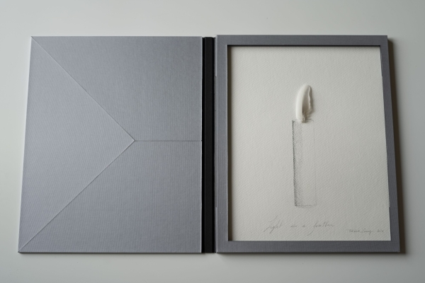 Fabrice Samyn: I AM? The Limited Edition