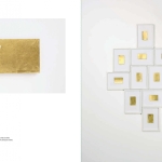 Fabrice Samyn. I am?