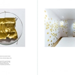 Fabrice Samyn. I am?