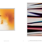 Full House. One Space, two Shows, 307 Artists, and 400 Pieces. From the Frédéric de Goldschmidt Collection