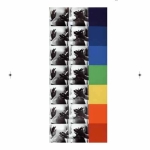 Image(s) d'une collection