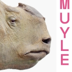 Johan Muyle