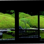 Le jardin japonais moderne