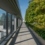 Le jardin japonais moderne