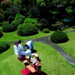 Le jardin japonais moderne