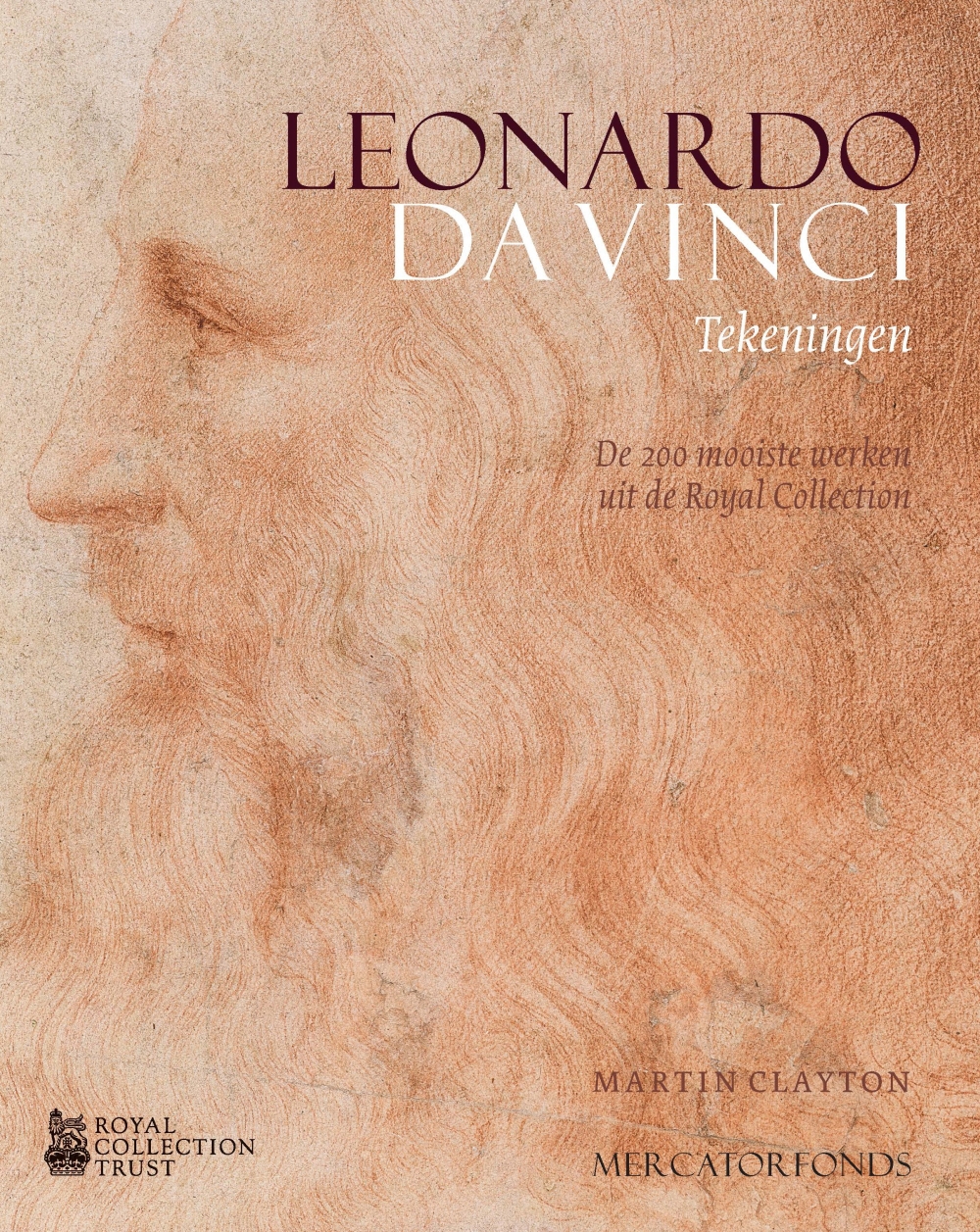 Léonard de Vinci, le génie en dessin
