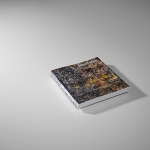 Limited Artist Edition Berend Strik