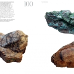 Maarten Vanden Eynde