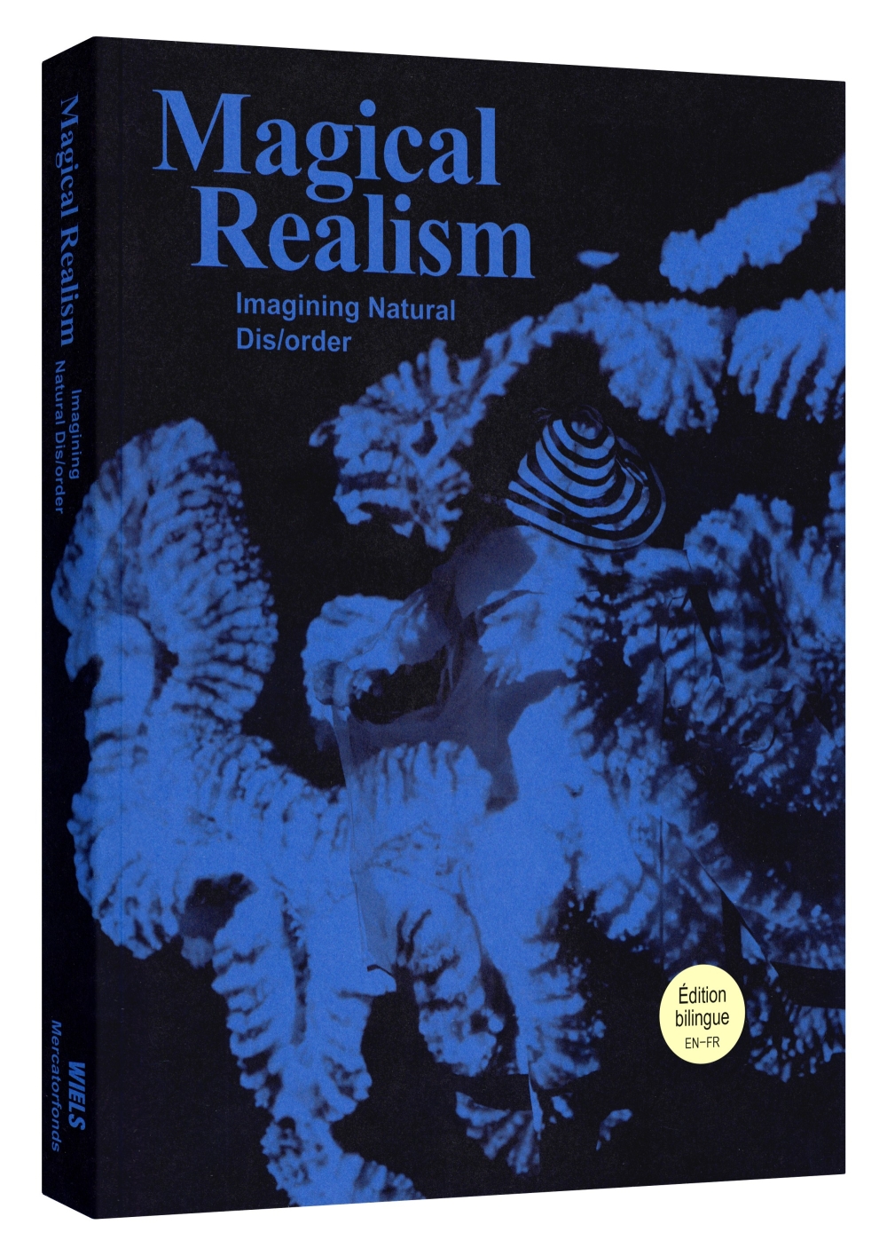 Magical Realism - Réalisme magique