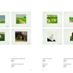 Roger Raveel. Retrospection