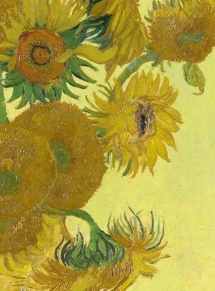 Van Gogh en de zonnebloemen