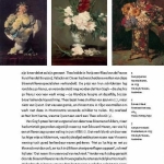 Van Gogh en de zonnebloemen