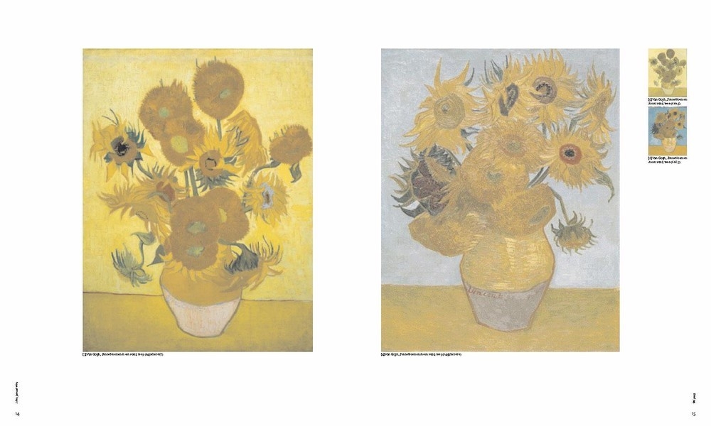 Vincent van Gogh -  The Letters